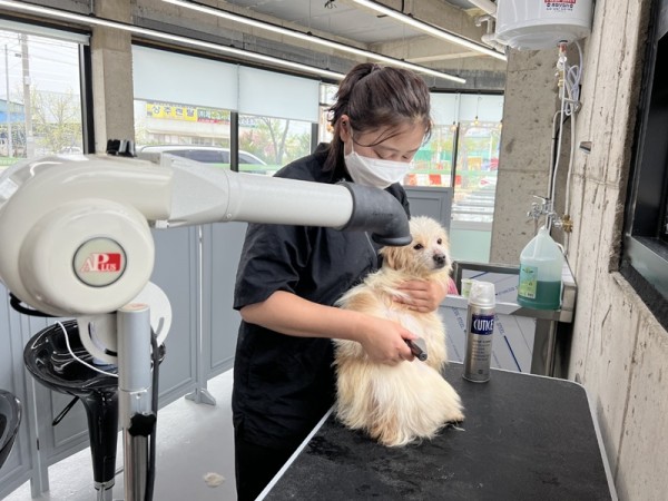 사본 -축산과 반려동물 입양센터개소 (1) (1).jpg