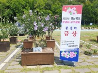 사본 -[산림녹지과]우수분화 금상.jpg