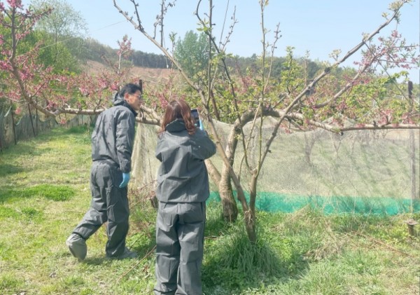 과수화상병 경계 격상.jpg