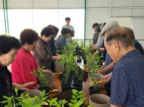 농업기술센터, 치유농업 (1).jpg