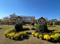 (상주시 미래농업과)국화전시회 (3).jpeg