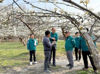 배 저온피해 농가 현장방문.jpg